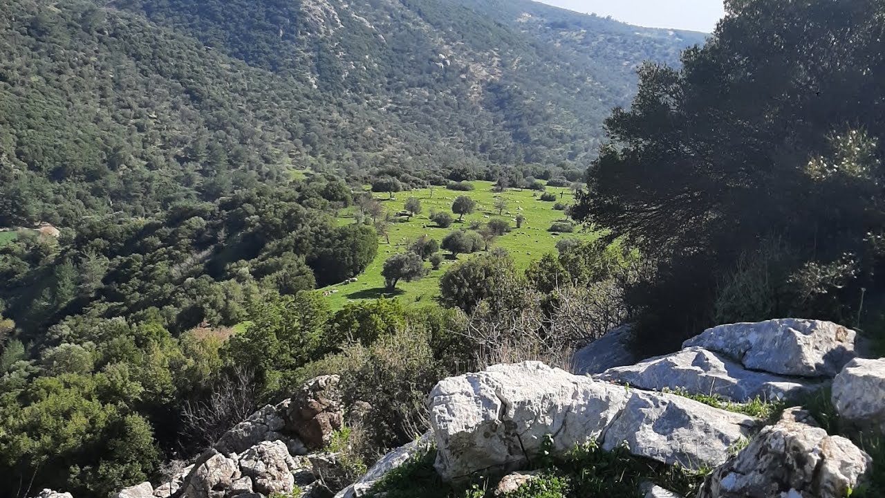 Exploring Izmir | Turkey with me #izmir #turkey #travel #mountains