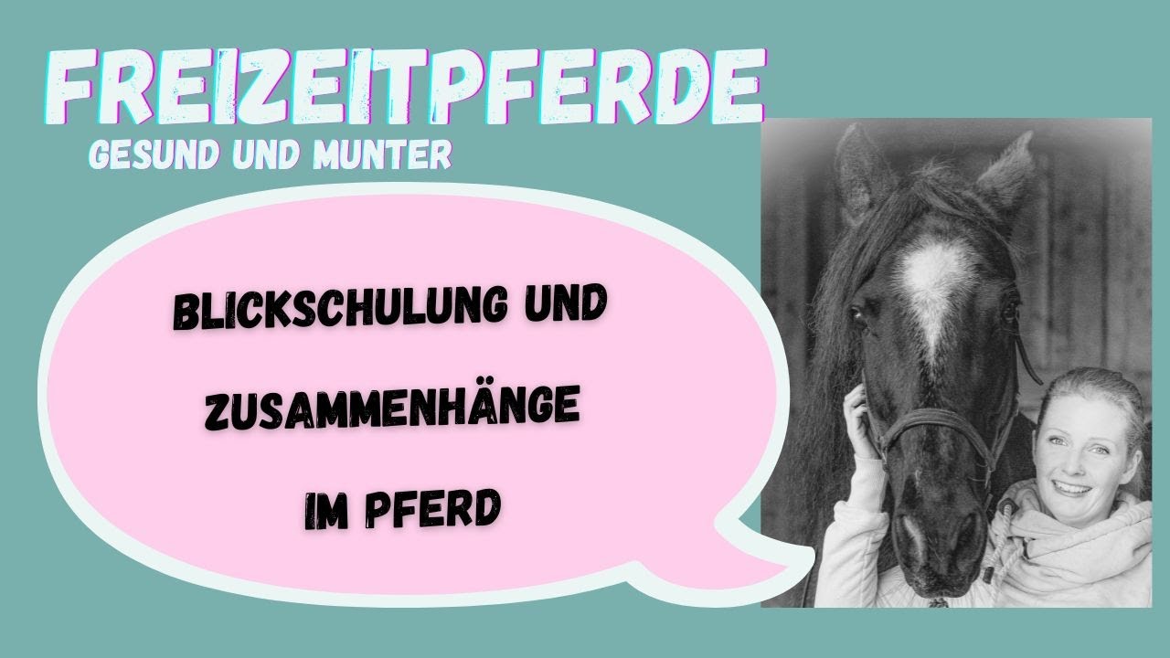 Blickschulung und Zusammenhänge vom Pferd