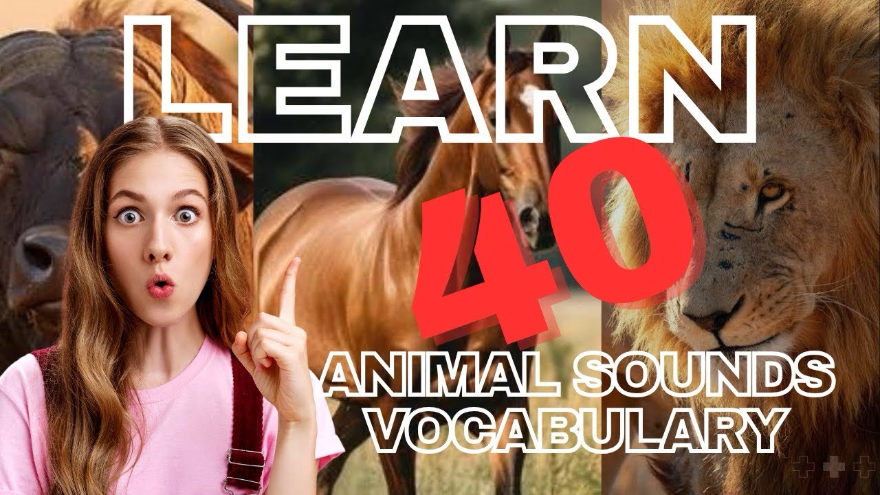 Let’s learn vocabulary related to sounds of birds ,animals and insects | #englitube |must watch