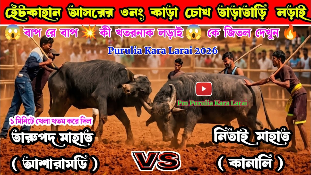 হেঁটকাহান ৩নং লড়াই | Hetkahan Kara Larai 2026 |Purulia Kara Ladai 2026 |Purulia Today Kara Ladai |