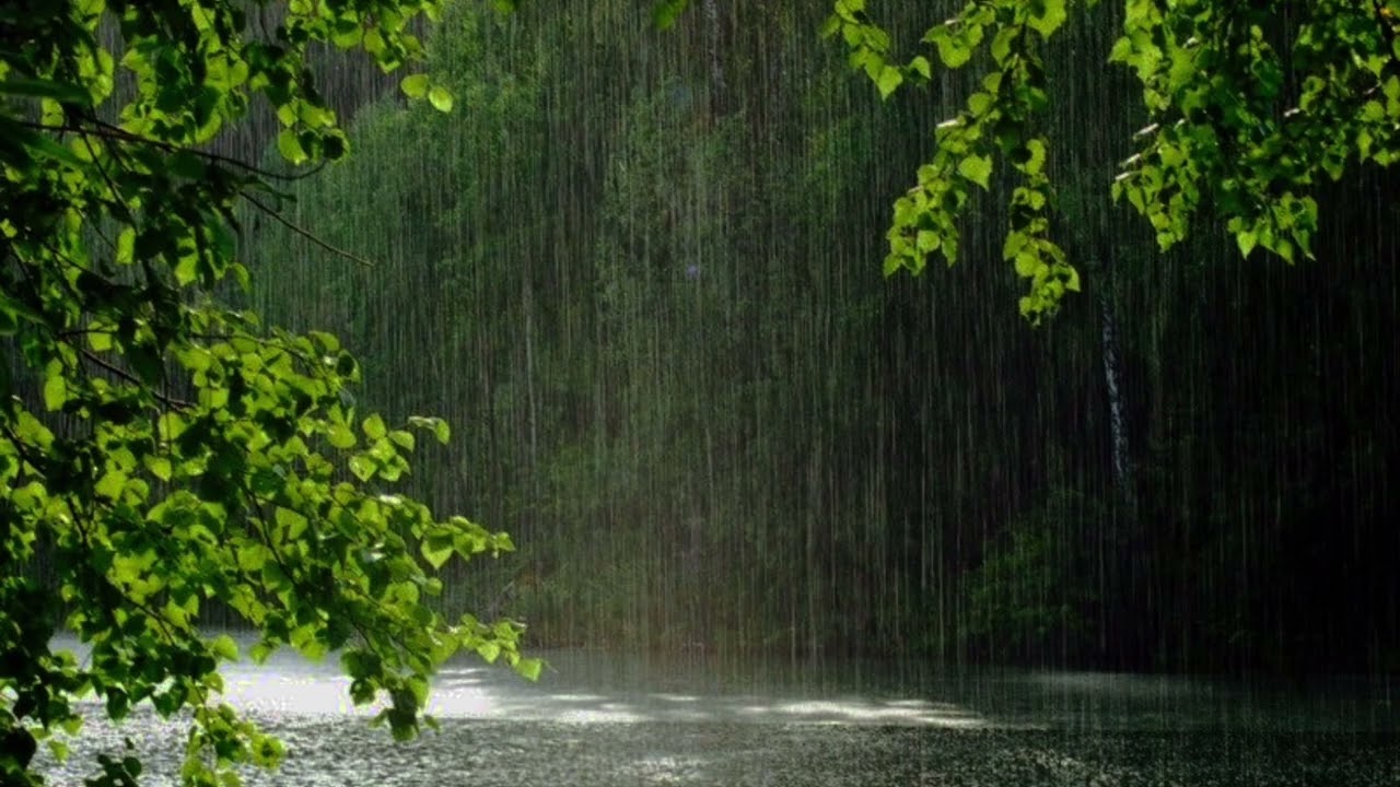 60 Minutes of Relaxing Rain Sounds | Deep Sleep, Focus & Calm Ambience