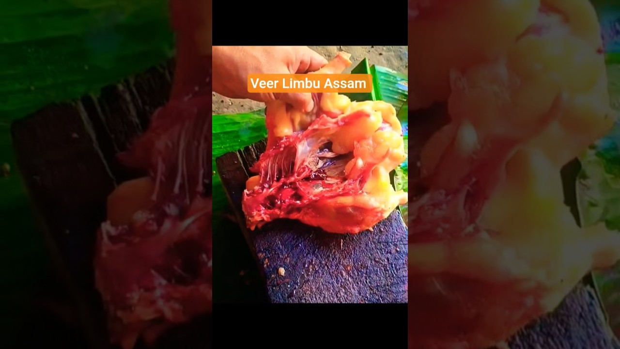 Best Quality Duck Meat & My Unique Cutting Skills #meat #duckmeat #duck #porkmeat #bollywood