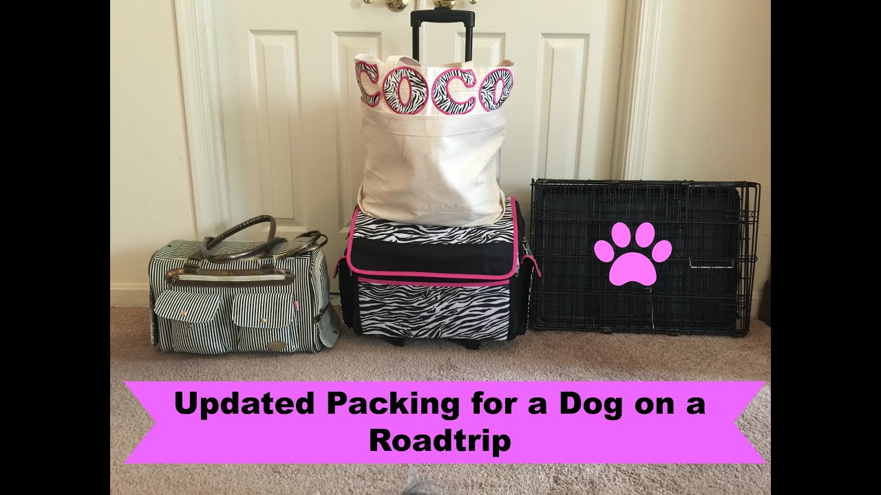 Updated Packing for a Dog on a Road Trip