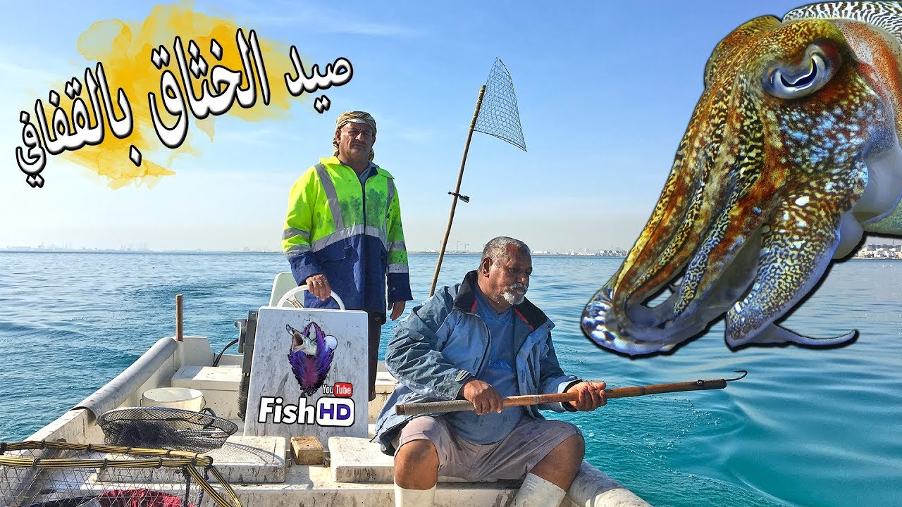 صيد الخثاق بطريقة القفافي بالبحرين
