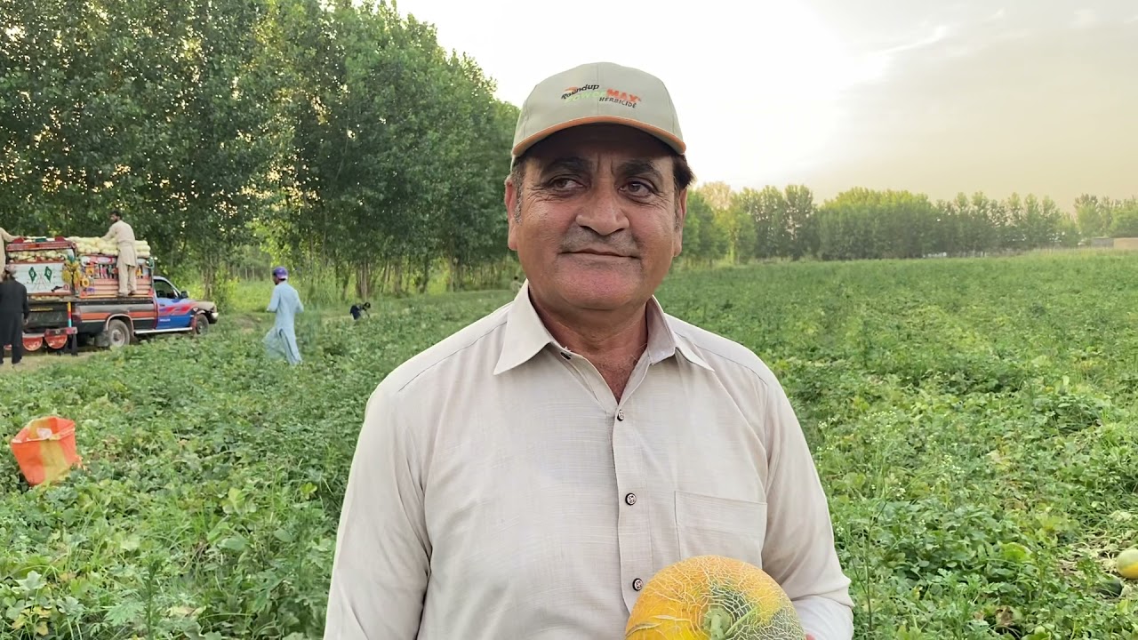 Azmat Khan, a progressive farmer, in his farm in Charsadda&rsquo;s Sardheri, Khyber Pakhtunkhwa
