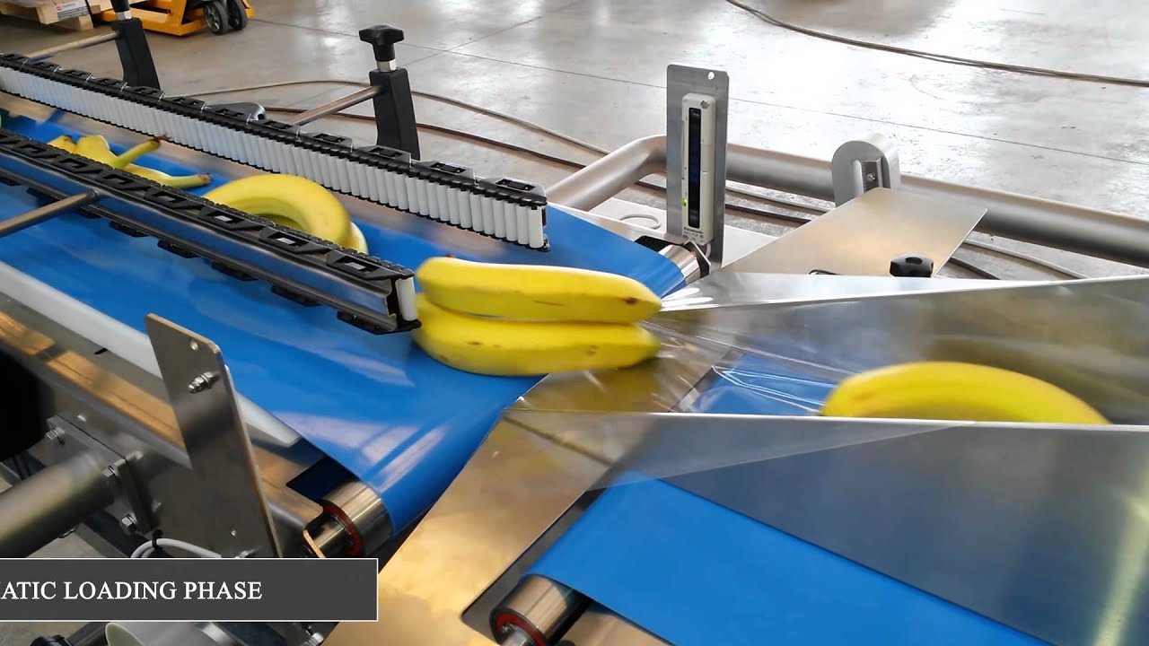 HFFS Flowpack Mod. SBB800 video promo