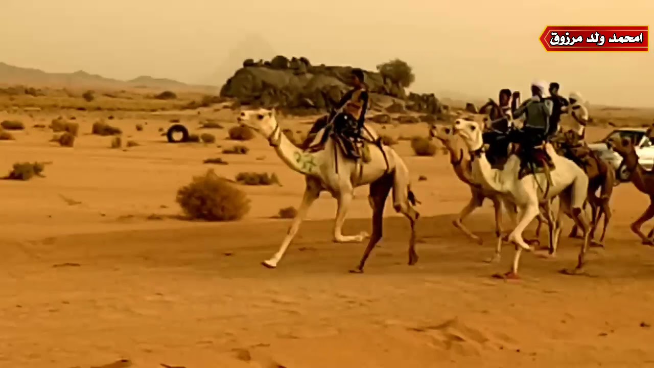 كورص 12كلم المطار تمنراست في 19-08-2021