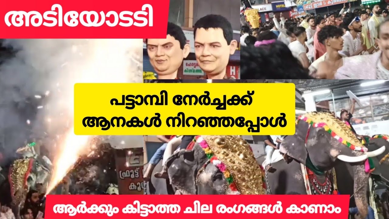 പട്ടാമ്പി നേർച്ചക്ക് ആനകൾ നിറഞ്ഞപ്പോൾ സംഭവിച്ചത്🥳🐘😯 PATTAMBI NERCHA 2024 #pattambi #pattambifest2024