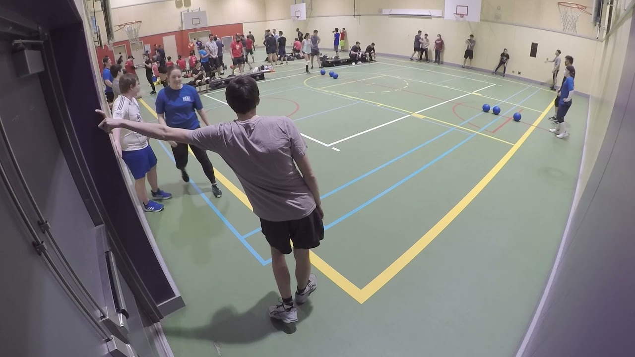 B&BH VDL S29.5 - Week 6