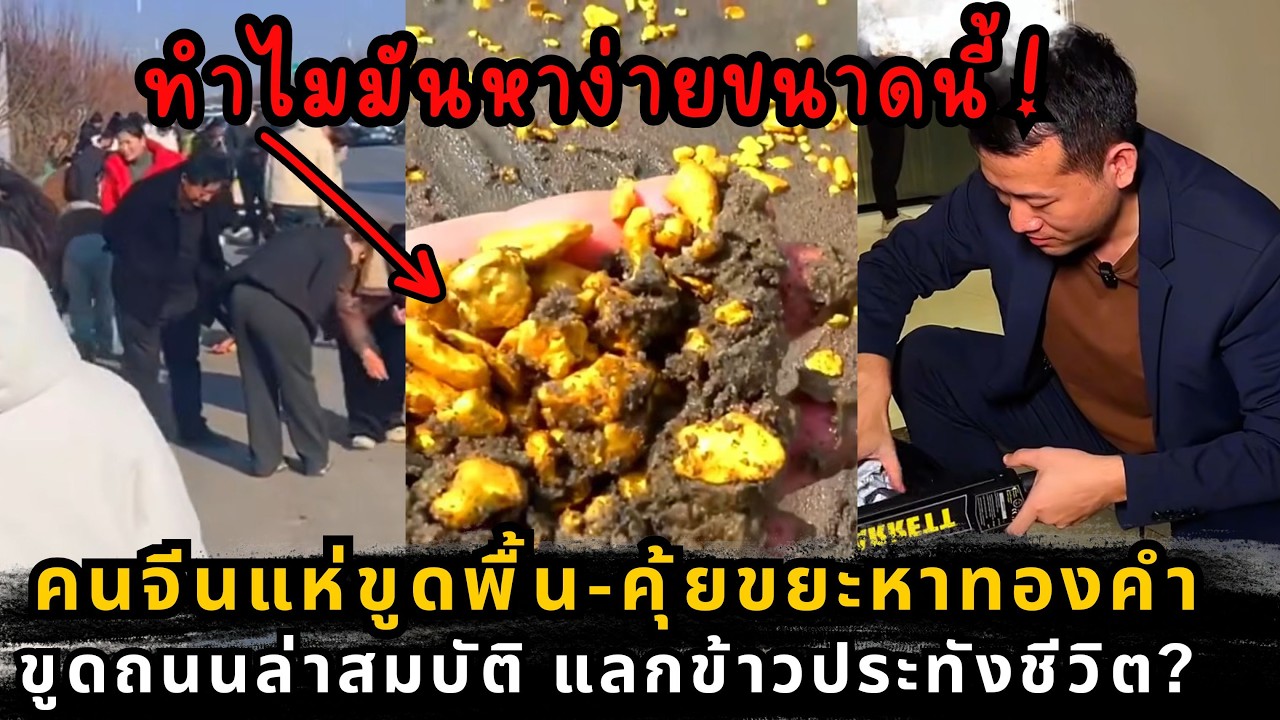 จากรวยทางลัดสู่ความสิ้นหวัง สำรวจวิกฤตคนว่างงานจีนผ่านเหตุการณ์แย่งสมบัติริมทาง