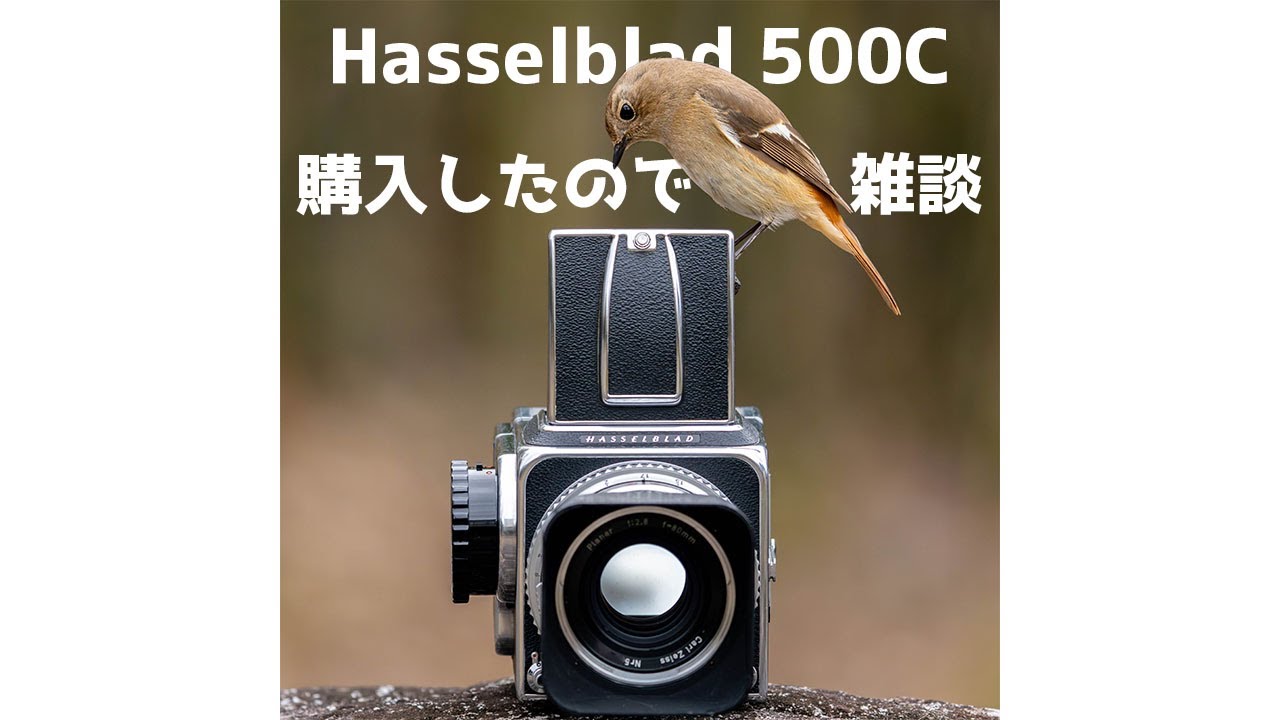 【私的最後のフィルムカメラ】Hasselblad 500Cを購入したので雑談します！プラナー80mm、フィルム、ハッセルをチェキ運用などなど