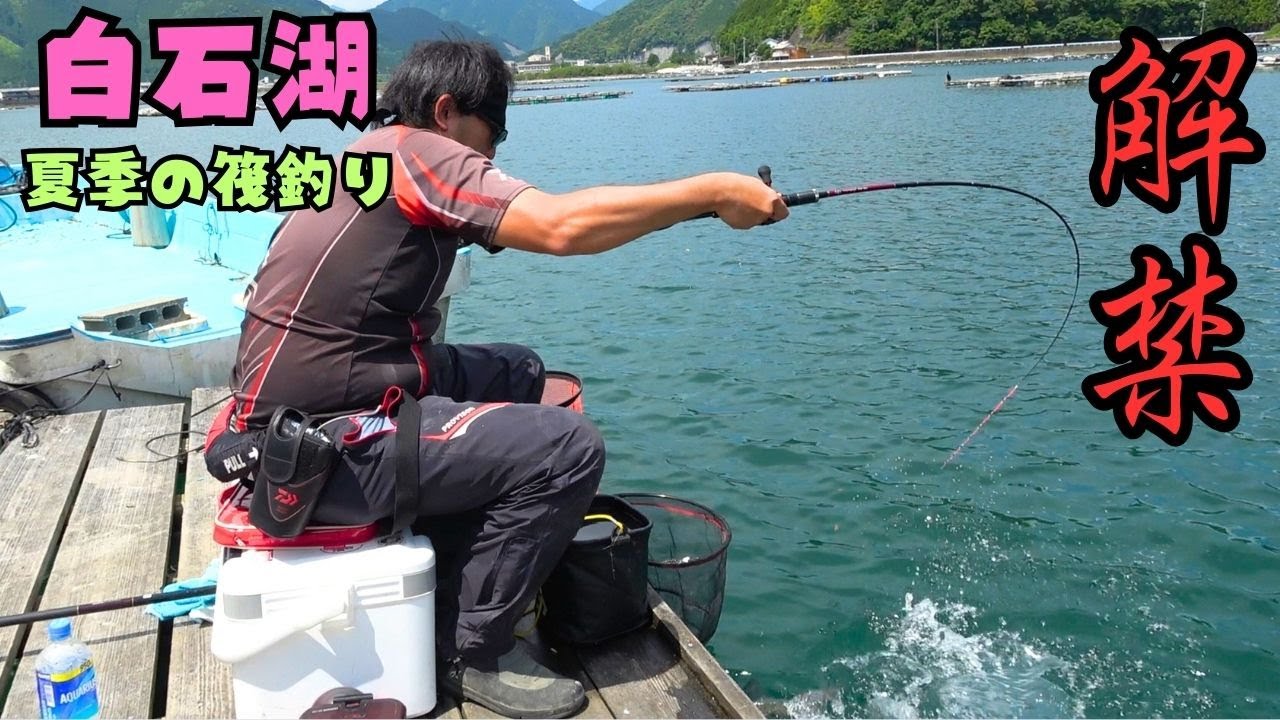 [筏釣り] 夏の白石湖にて解禁3日目に夏チヌに挑んだ結果！[かかり釣り] [黒鯛釣り] [チヌ釣り] [三重県釣り]
