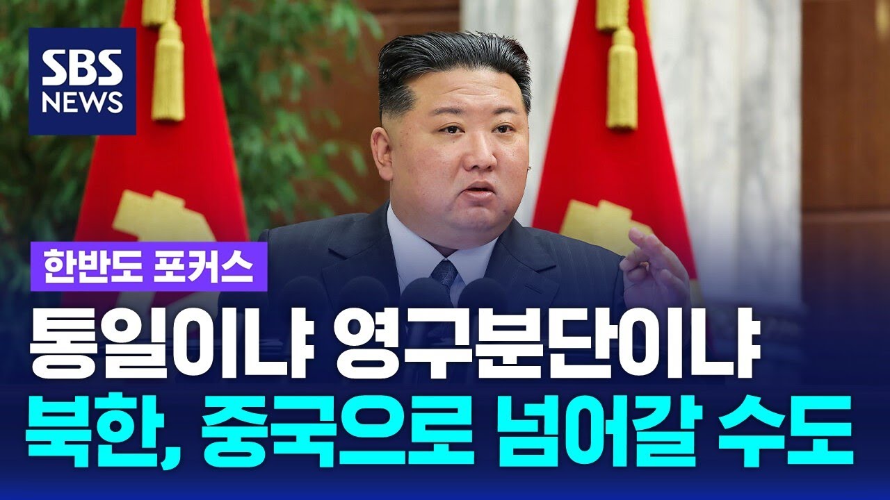 통일이냐 영구분단이냐&hellip;적대적 vs 평화적 '두 국가론' / SBS / 한반도 포커스