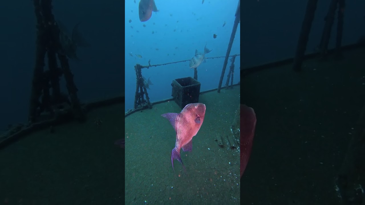 Serene Depths: Nature Meets Human Influence