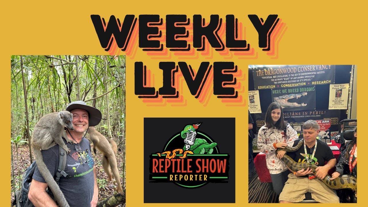 Weekly Live Show