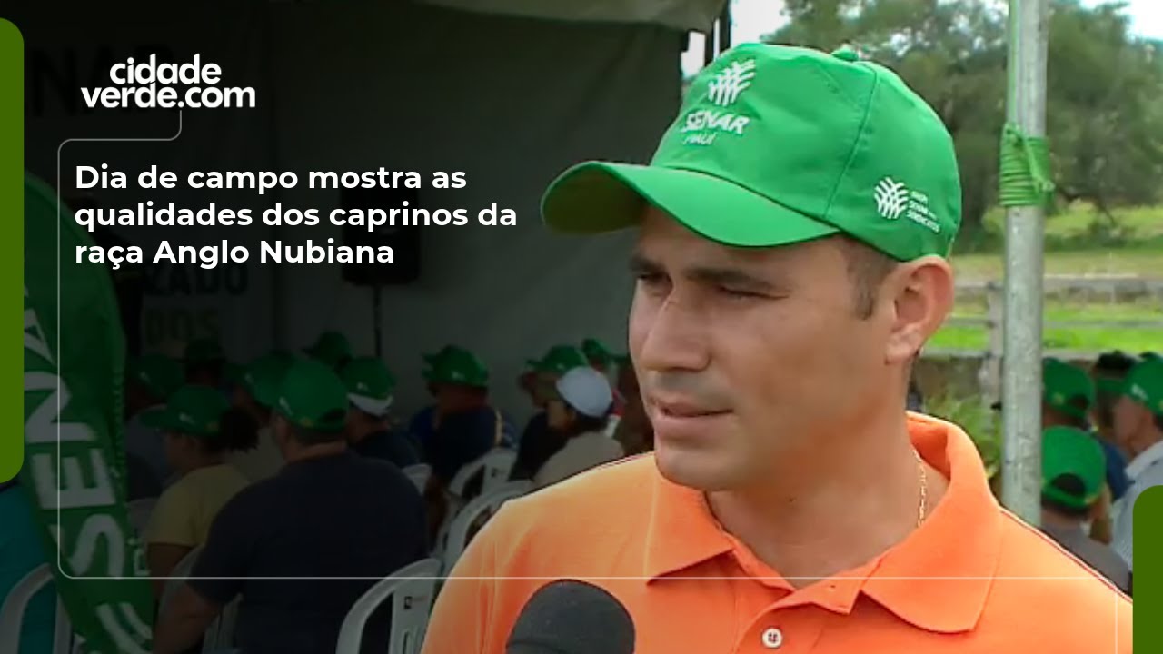 Dia de campo mostra as qualidades dos caprinos da raça Anglo Nubiana