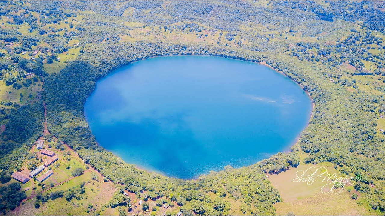 Lake Kisiba & Mvule Tree - Everyday Mbeya