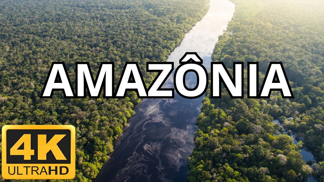Drone e Belas Imagens 4K: Amaz&ocirc;nia Brasileira com m&uacute;sicas relaxantes.