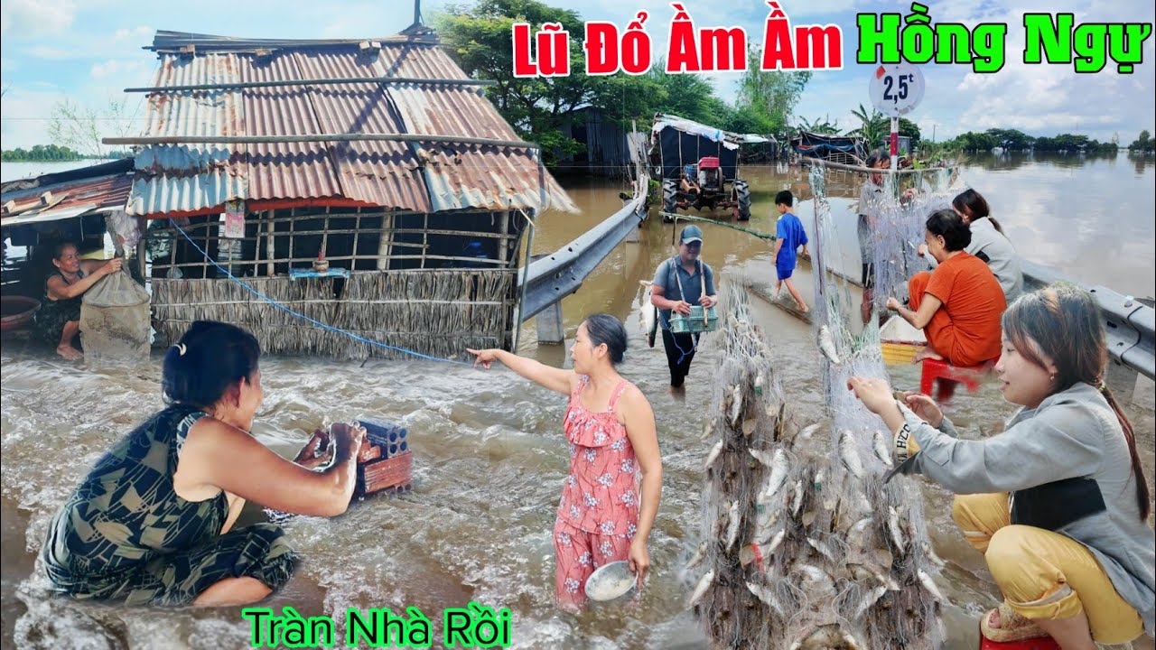 Quá khủng khiếp lũ đổ ầm ầm tràn qua biên giới Hồng Ngự ngập nhà dân lo sợ