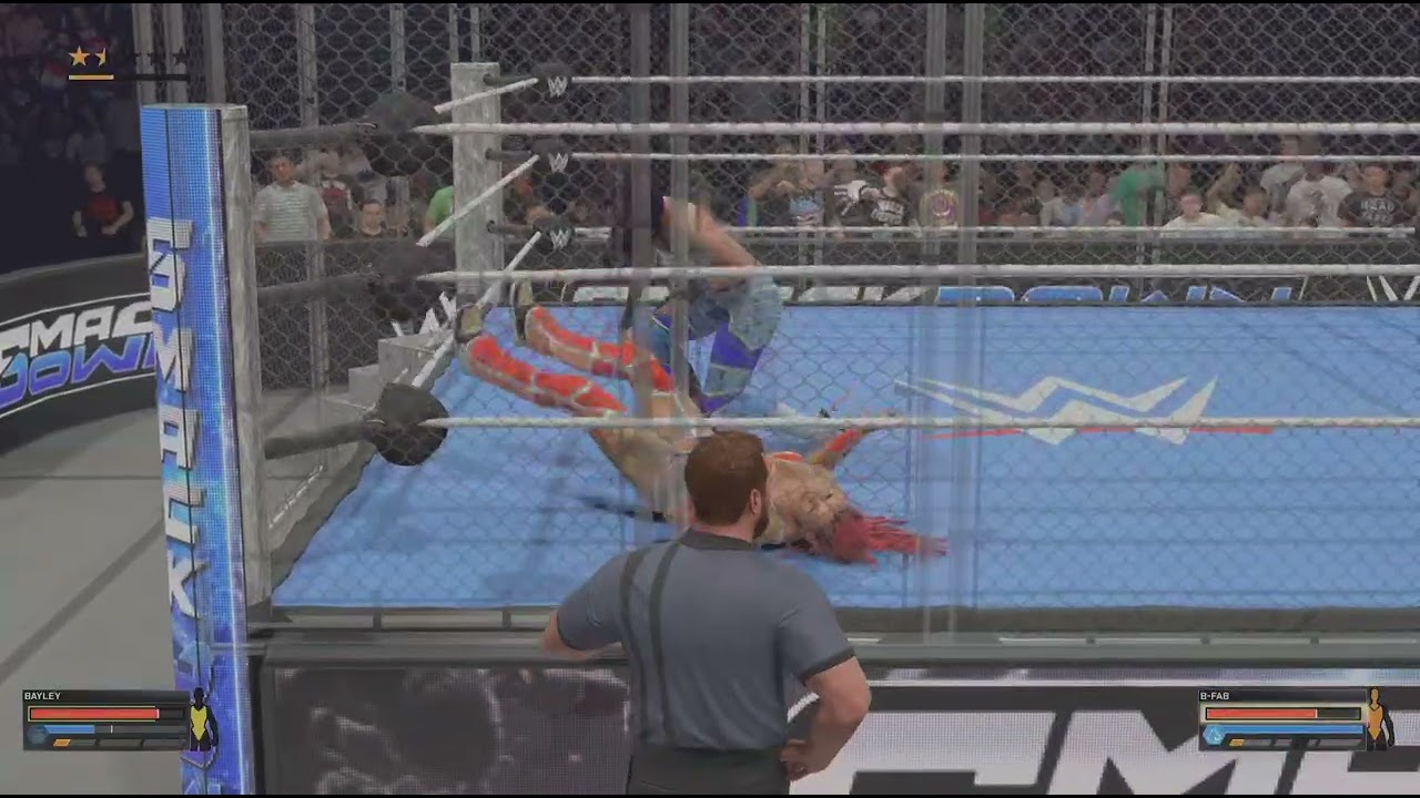 BayLeY vs B-FaB , SteeL cage match  !!!