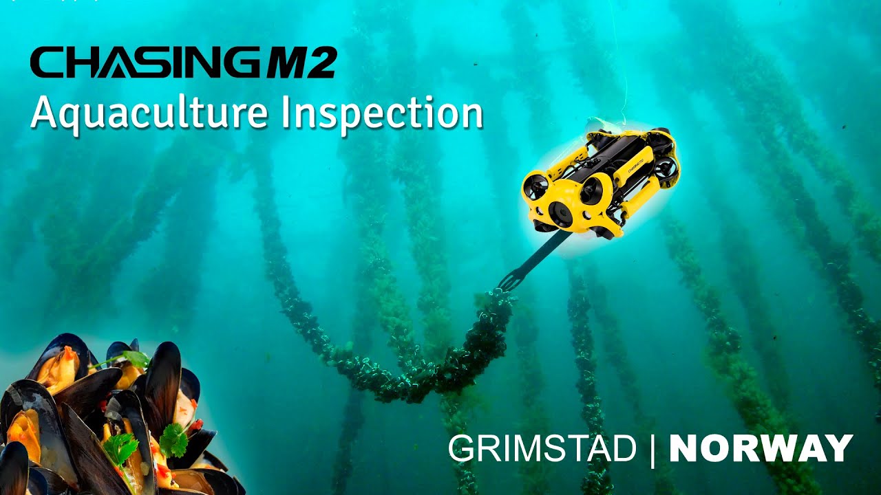 Chasing M2 - Real Case - Aquaculture mussel farm inspection - Grimstad, Norway