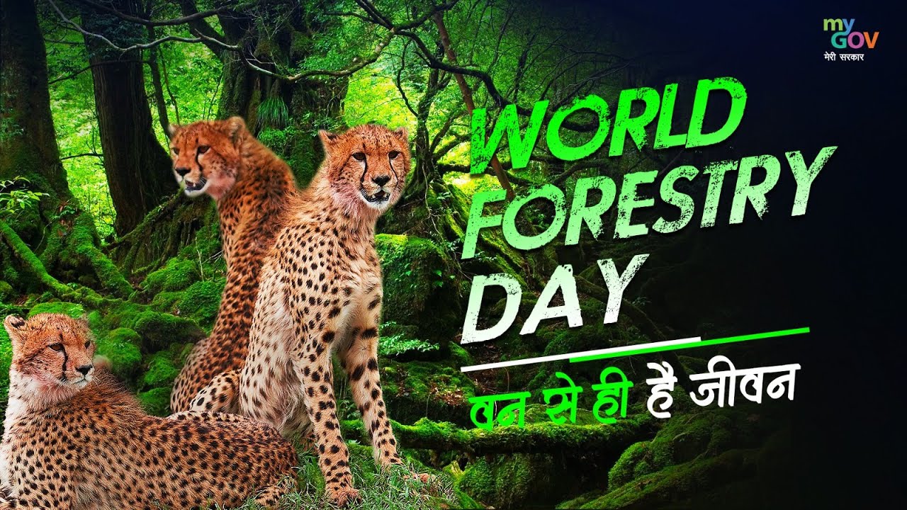 Promoting Sustainable Practices to preserve Ecosystems | World Forestry Day
