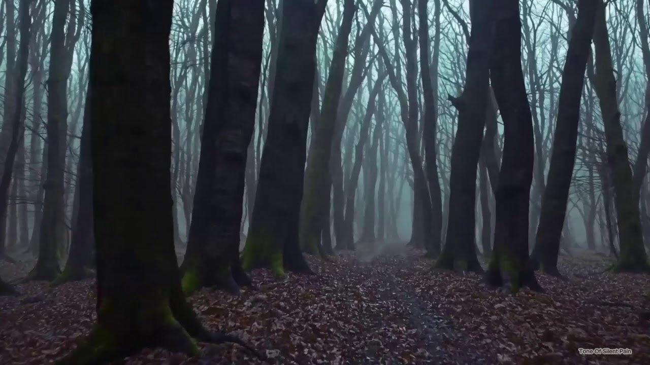 Piano Instrumental , calm, melancholic sleep ASMR music - Relax / Sad / #classicalmusic