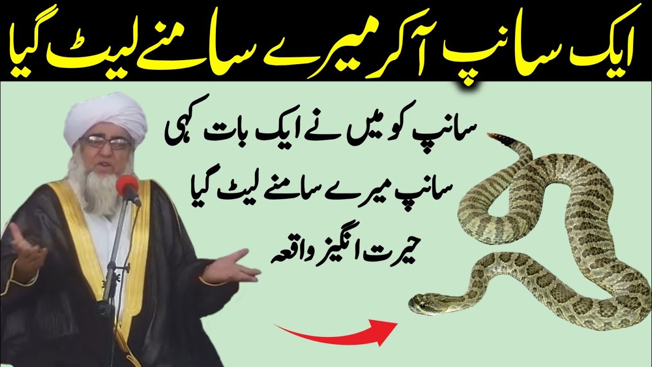 Eik Sanp ka Waqia Sanp Aakar Mere Samne let Gai Mai Ne Sanp ko Kiya kaha | Mufti Zarwali Khan
