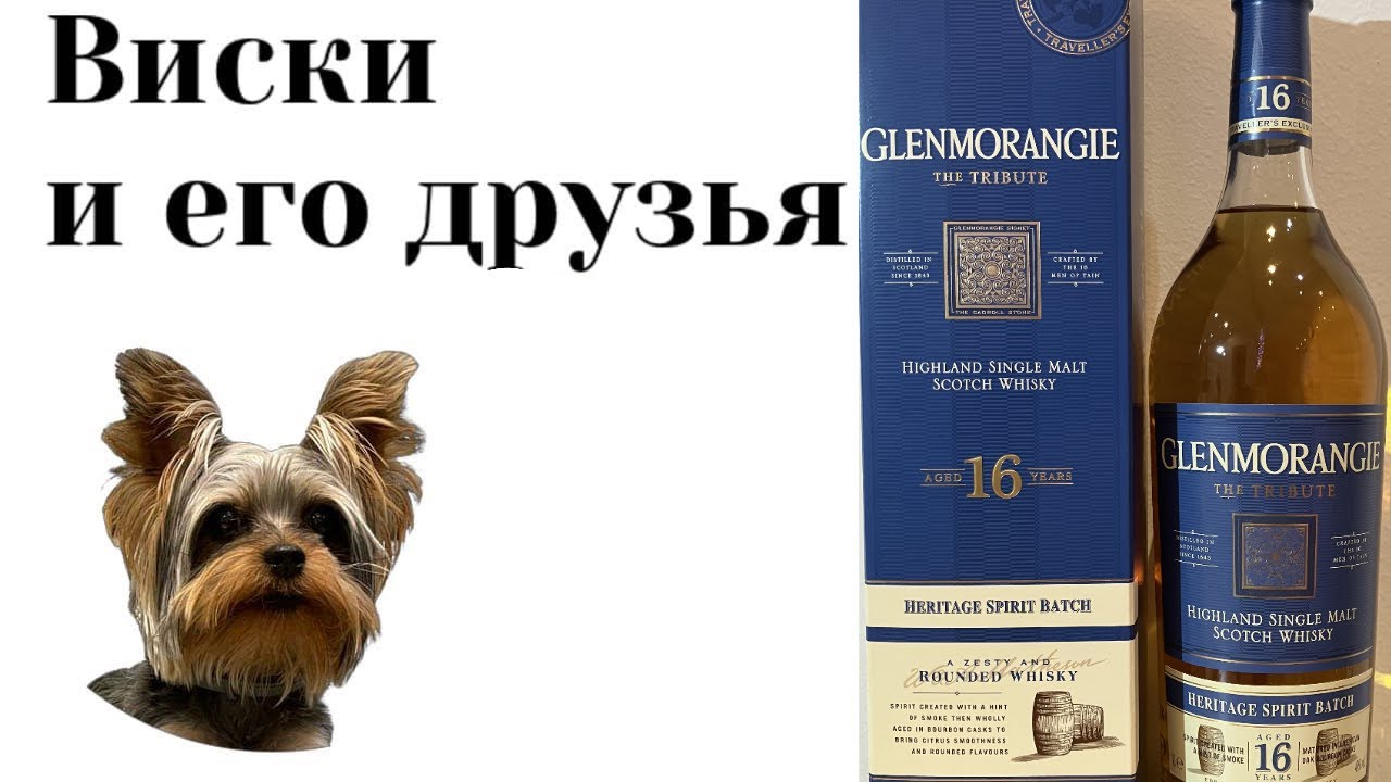дегустация Glenmorangie 16 Year Old The Tribute