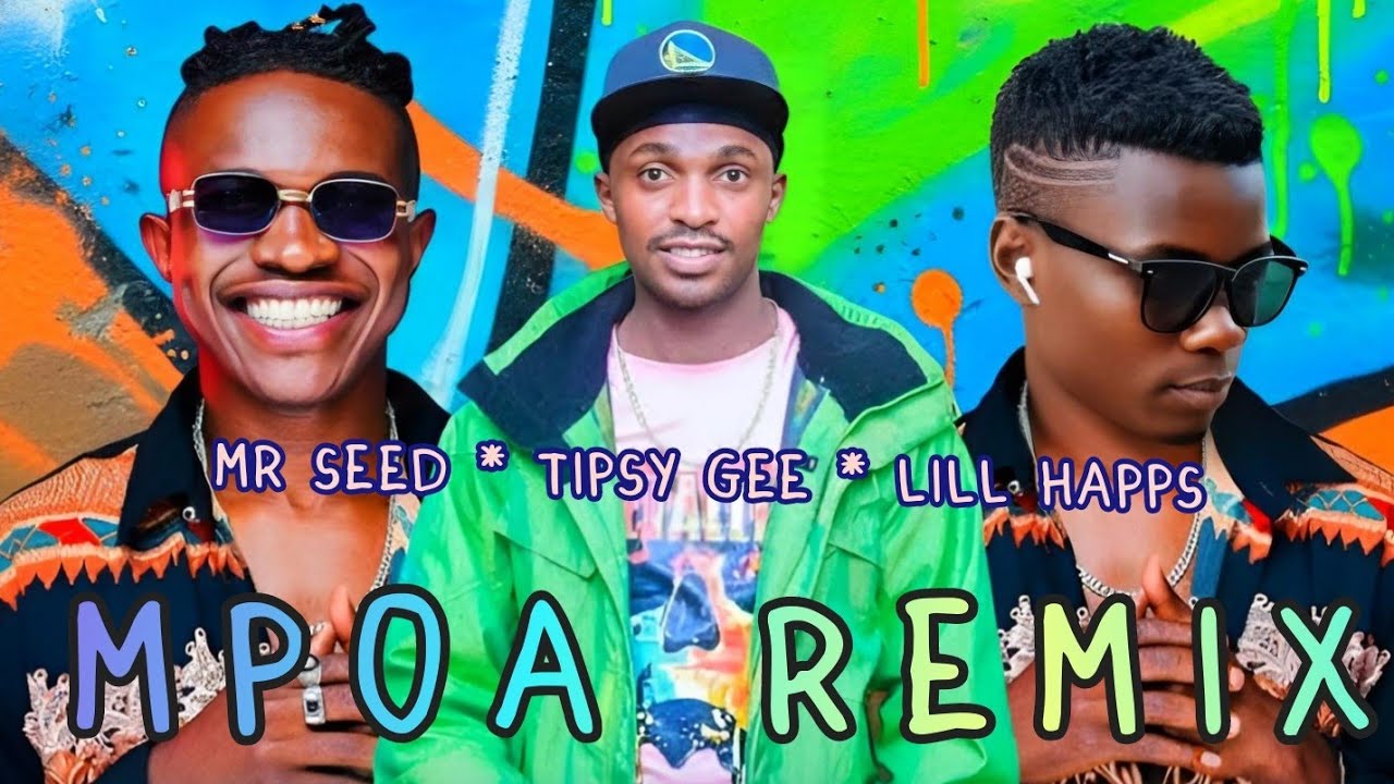 Mpoa Remix (official visualizer) | Mr Seed ft. Tipsy Gee ft. Lill Happs 