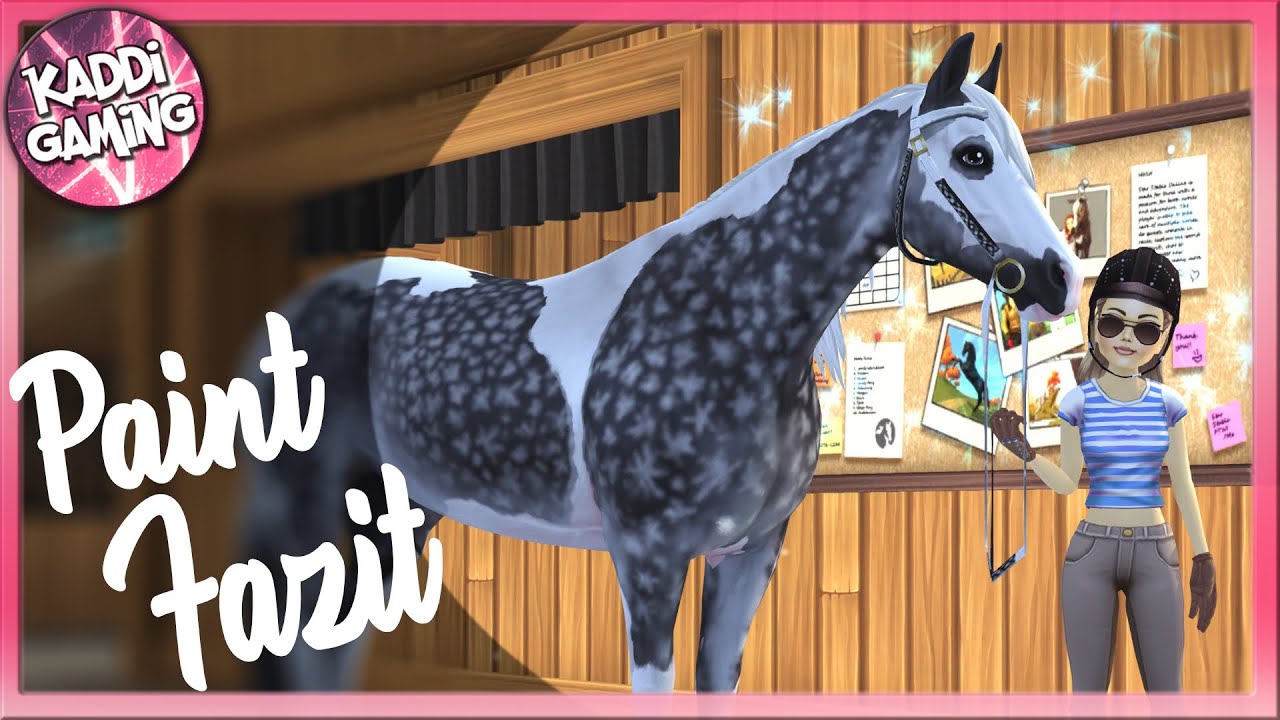 Mein Fazit zum Paint Horse 🐴💭 Kaddi's Stallgeflüster