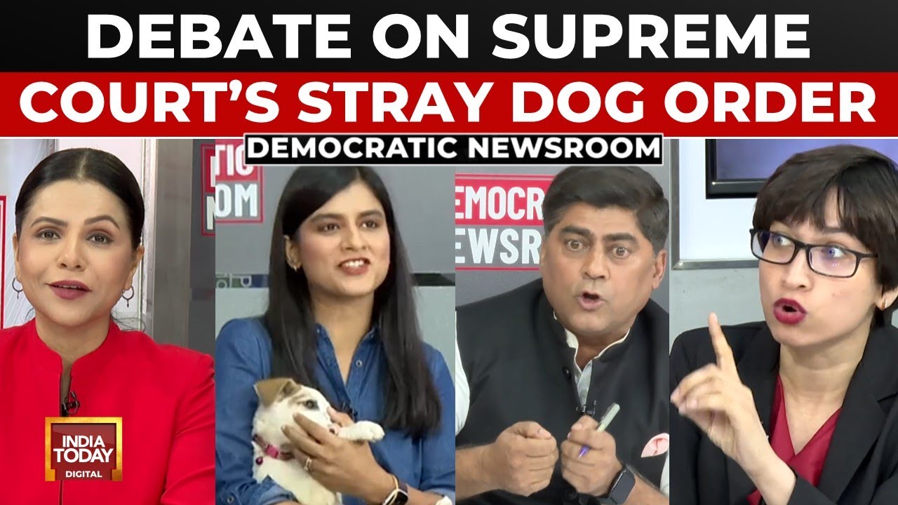 Democratic Newsroom: Delhi's Stray Dog Crisis - Court Order, Protests, & Shelter Debate