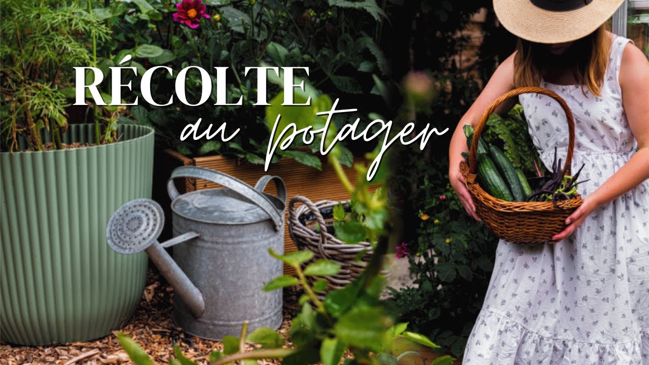 Slow VLOG | Première grande récolte au jardin & recette du potager