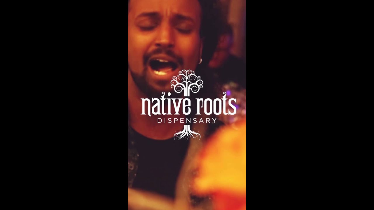 Native Roots Nightlife