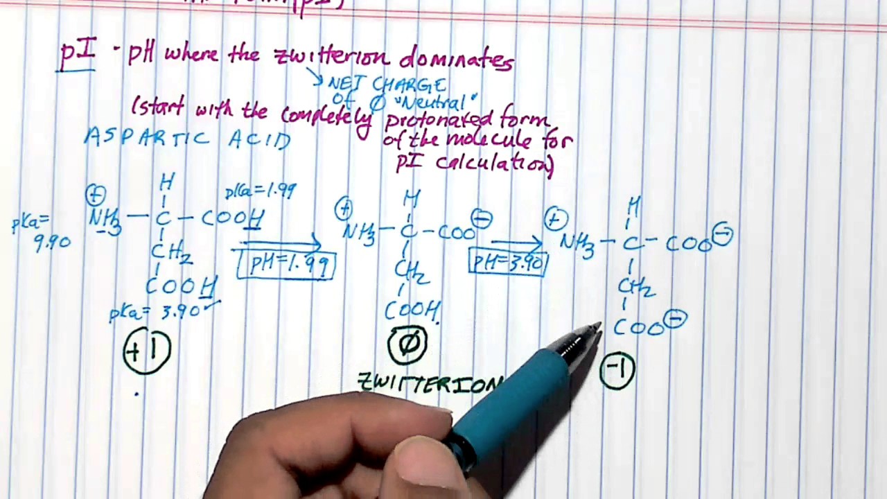Calculating the pI of His and Asp