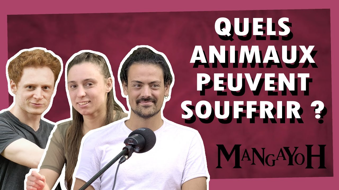 Quels êtres sont sentients ? (ft. @poissonpodcast et @RaieFutee)