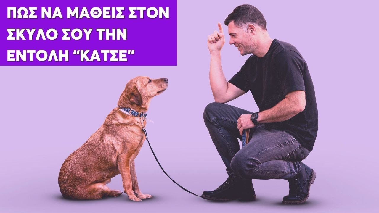 &Pi;ώ&sigmaf; &nu;&alpha; &Mu;ά&theta;&epsilon;&iota;&sigmaf; &sigma;&tau;&omicron;&nu; &Sigma;&kappa;ύ&lambda;&omicron; &sigma;&omicron;&upsilon; &tau;&eta;&nu; &Epsilon;&nu;&tau;&omicron;&lambda;ή &Kappa;ά&tau;&sigma;&epsilon;