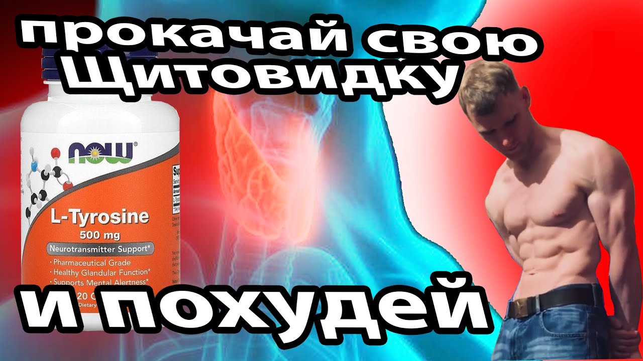 Быстрый обзор L-tyrosine