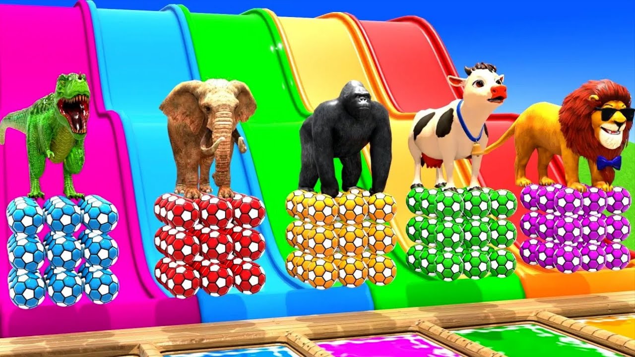 Playing as Spiderman in Long Slide Game with Cow Elephant Gorilla Hippo Tiger Funny 3d Animal Game