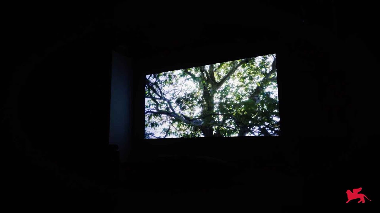 Biennale Arte 2024 - Charmaine Poh