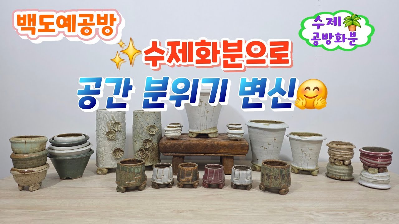 20260318(292회 영상)수제화분으로 만드는 작은힐링🪴감성공간으로 변신🤗#수제화분#공방화분#야생화화분#다육화분 #아프리카식물#분갈이화분#고급화분#롱분 #분청화분#콩분#미니화분
