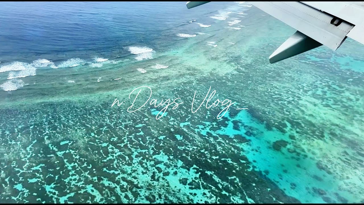 7:Days 이시가키 여름휴가🤿 일본가정식 맛집 | 다람쥐원숭이🐵 | 이시가키규 아끼니꾸 | 시라호해변 |  일본편의점 안주🍾 브이로그 (ep1)