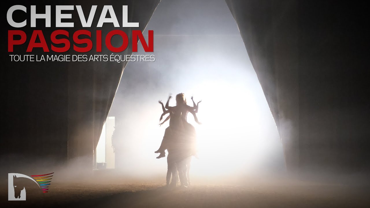 Cheval Passion 2023 : retour en images