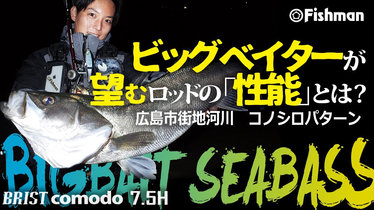 【Fishman】ビッグベイトでランカーシーバスを狙う！【陸っぱり】
