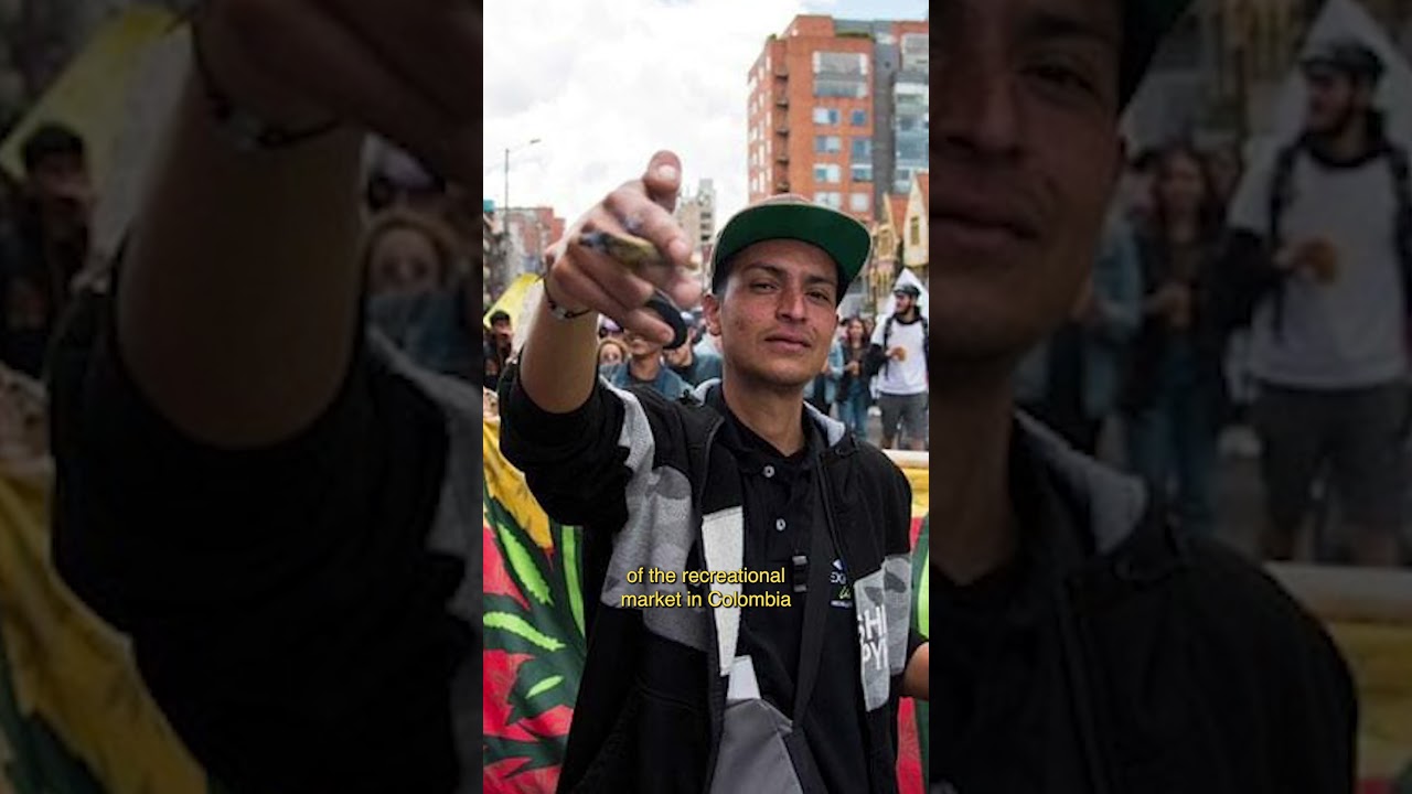 Can Colombia get rec weed in a year?#420 #colombia