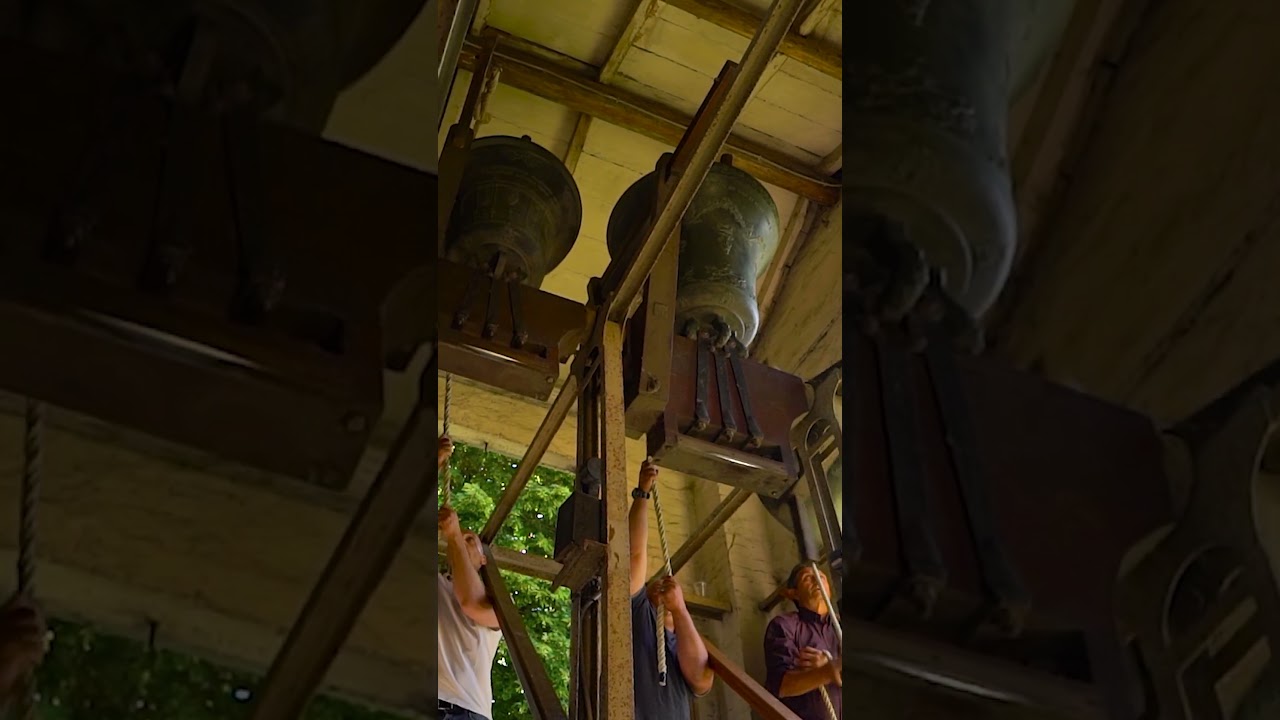 Campanari a Fiesso      #campane #bells #glocken #music #church #italy #shorts #fyp #viralvideo #art