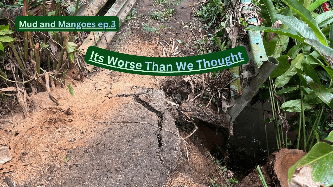 Mud and Mangoes Ep 3