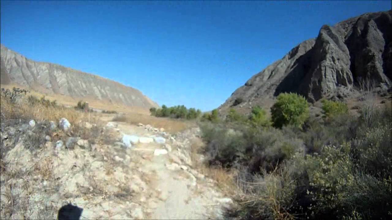 Mountain Biking Wind Wolves Preserve
