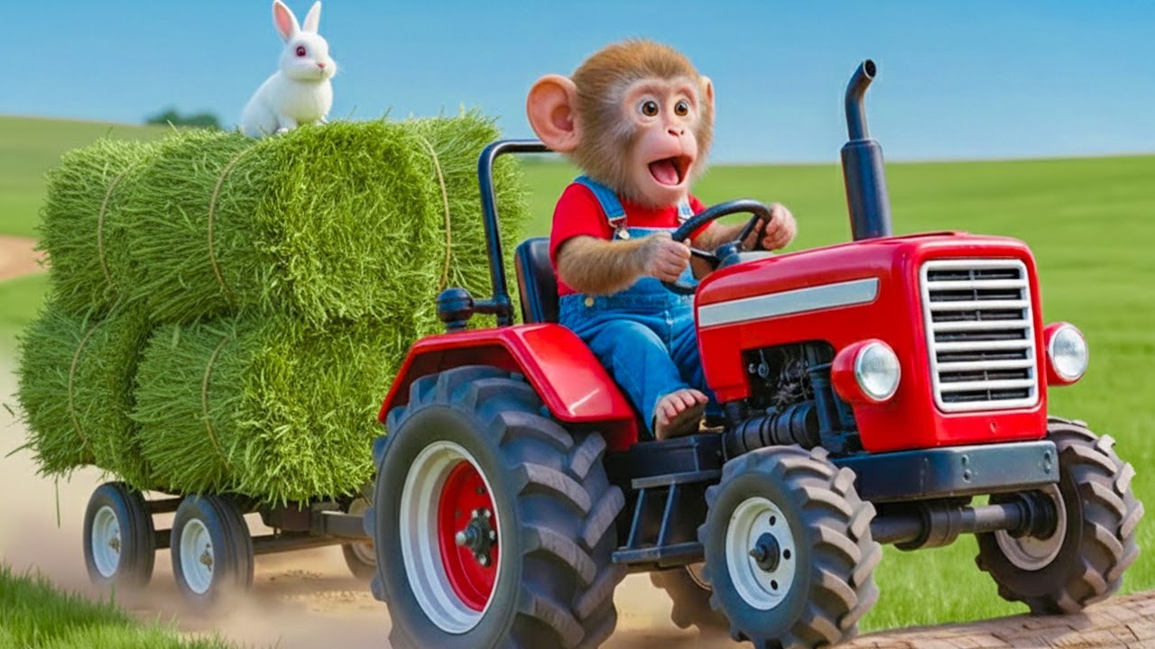 🌿✨Monkey KOKI harvests young grass for the white goat and unexpected adventures on the farm 🐵
