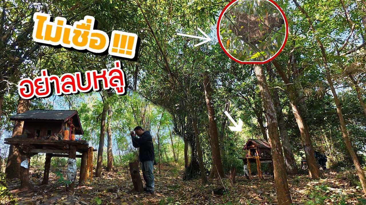 Ep.131 ตีผึ่ง ไกล้ศาล ต้องขอขมาทุกครั้ง ไม่เชื่อ อย่าลบหลู่